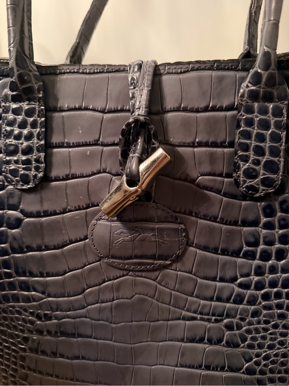 Longchamp Roseau Croc Embossed Leather Shoulder Tote - Picture 3 of 14